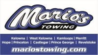 WCC-ICE-GRAPHIC-MARIOS-TOWING_PRINT